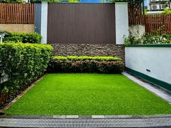 Jalan Sinar Bintang (D17), Terrace #556108781